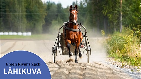 Green River’s Zack treenaamassa Kari Lehtosen kotimaisemissa.