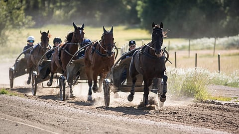 Maria Törnqvist ravivalmentaja