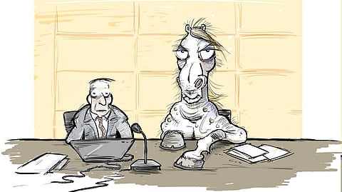 Tuleeko päivä, jolloin eläin nähdään avustajansa kanssa oikeudessa? 