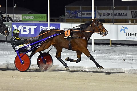 Joulukuussa Oulussa ravatun Ponsse Cup -finaalin voittanut Green River's Zack lähtee lauantain Winter Bonus -finaaliin kisan suurimmalla voittosummalla.