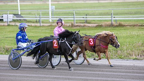 Ponifestarit 2025 Minessa iivonen ja Jesse Ylitalo 