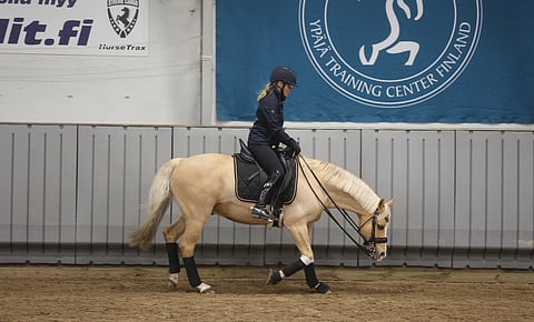 Eteen-alas verryttelymielessä tehtynä. Anna Kärkkäinen ja Minion Verde. 