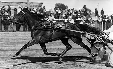 Jixy täydessä vauhdissa.