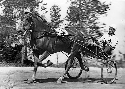 Uskotin ja Lauri Kokko.