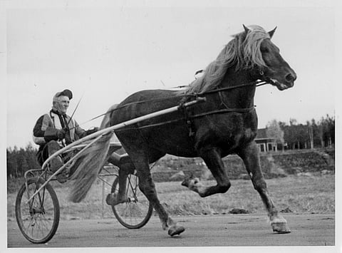 Norkka ja P.A. Rosenqvist.