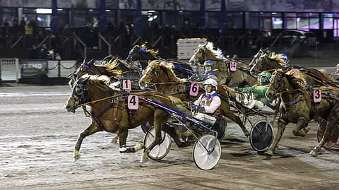 Viulan Voitto ja Petri Mäkinen