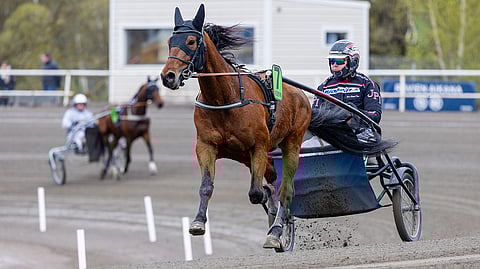 Nordetia kilpaili noin puolen vuoden ajan Joni-Petteri Irrin treenistä.