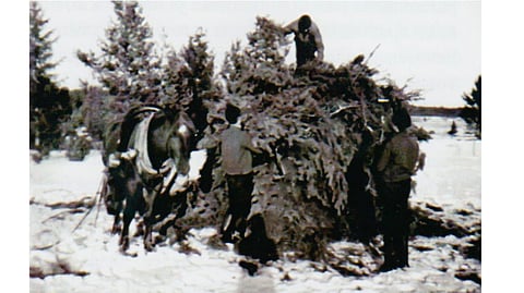 Kokon teossa vuonna 1966.