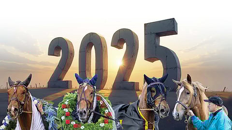 Vuosiranking 2025 – parhaat suomenhevoset