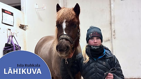 Isla Ruhkala sai Tuutu Lullan valmennukseensa keväällä 2024. Opetusvaiheen jälkeen ura on alkanut upeasti, sillä takana on 16 starttia ja 14 voittoa.