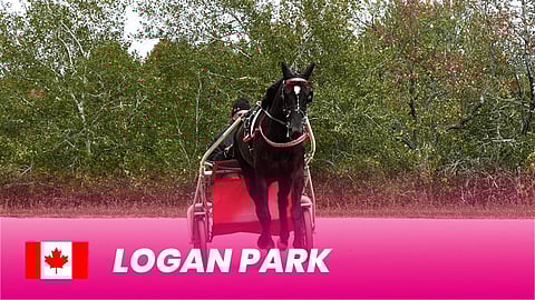 Kanadan parhaat ravurit