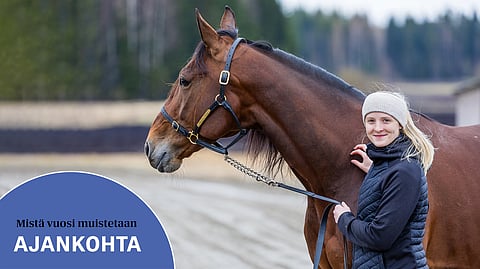 Veera Hakkarainen teki ikimuistoisen matkan Massimo Hoistin rinnalla Elitloppetiin.