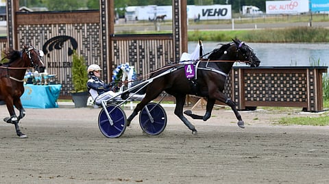 Tuukka Varis ottaa taas tiistaina ohjastuntumaa You To Classiin.