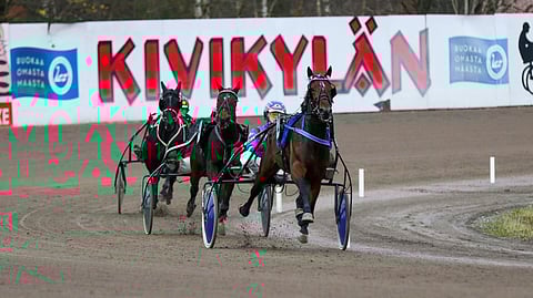 Nuori Suomessa syntynyt lämminverinen tienaa kaikista hevosryhmistä keskimäärin eniten.