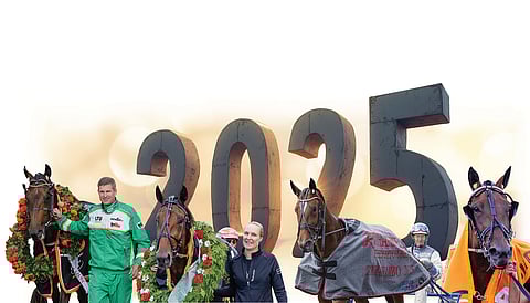 Vuosiranking 2025 – parhaat lämminveriset