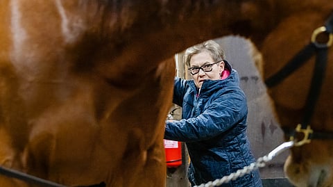 Kertun käsittelyssä hevoset ovat saaneet avun niin Suomessa kuin Yhdysvalloissa. 