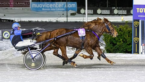 Morison, Juha Utala– 