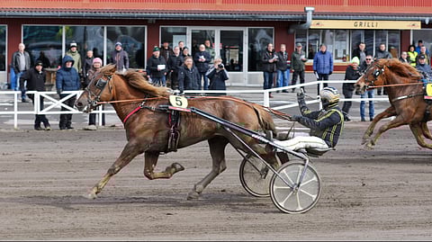 I.P. Kisa ja Ville Koivisto