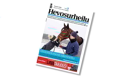 Hevosurheilun kansikuvahevonen on Green River’s Zack.