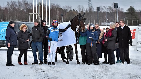 Pappappero on voittanut urallaan yhdeksän kertaa. Aiemmin ruuna kilpaili isokokoisen Haukipudas Horse Clubin omistuksesta.