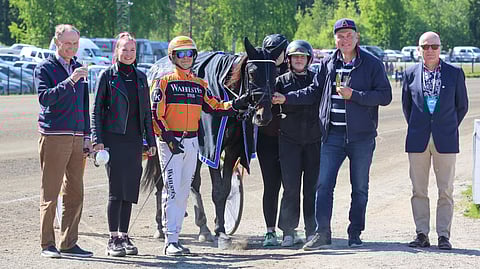 Sahara Commander on voittanut urallaan kahdeksan kertaa.