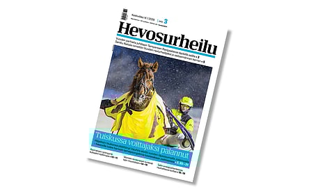 Keskiviikkonumeron kansikuvahevonen on tuore Jokimaan valloittaja Vauhtis.