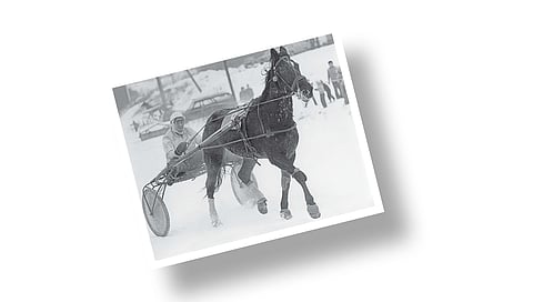 Kuva-arvoitus: Tiedä tai arvaa mikä parivaljakko?