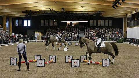 Kirsi Oksasen Conbaso sai Ingrid Klimkeltä kehut työskentelystään kavaleteilla ympyrällä.  