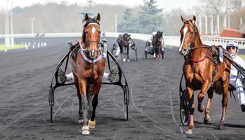 Go On Boy on ennakkosuosikki. Vai onko sittenkin vuorossasen veljen Josh Powerin (oikealla) vuosi?