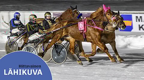 Ville Koivisto on tullut hyvin juttuun Hittavaisen kanssa. Lauantaina parivaljakko nähdään toisessa Toto75-kohteessa.