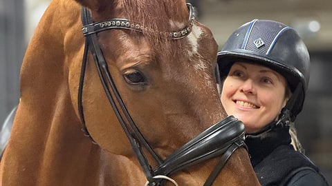 Tähän vuoteen lähdetään DiCaprio P: kanssa, joka on tänä vuonna mahdollisesti valmis inter II:een.  Tai sitten ei.  Pyykönen oppi Hollannissa ahaa-elämyksenomaisesti, että kouluratsastukseen ei kuulu kiire. 