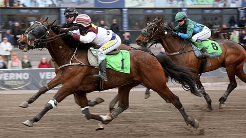 Winners Lane ja Janita Antti-Roiko
