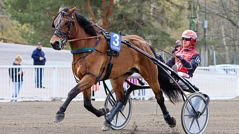 Jiiveegee ja Santtu Raitala