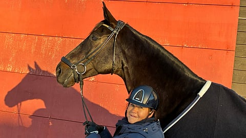 Isokokoinen Heslegård's Furst Louis aloitti kilpauransa omistajansa Elisabet Ehrnroothin kanssa.  Se oli heti voitto. 