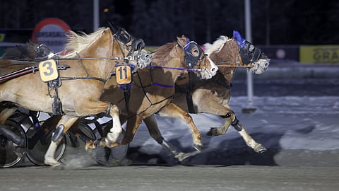 Meleko Kommee (11) vie voiton. Sisäradalla juokseva Cooleri (2) laukkaa ensin, ja sitten ulkoa hurjasti kirivä Villihumu (3).