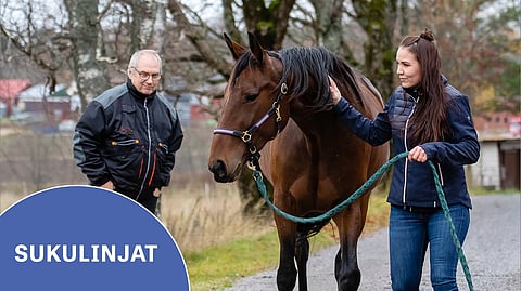 Jukka Grönfors ja tyttärensä Alexsandra Grönfors-Jurvelin ovat tulleet suurelle yleisölle tutuiksi viimeistään ravikuningas V.G. Voiton kautta. Kuvassa tamma V.G. Spring Prayer.