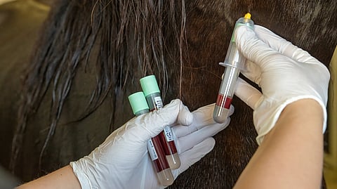 UET julkaisi viime vuoden lääkeainenäytteiden tulokset