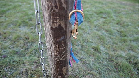 Jossain vaiheessa koittaa aika, että samaa hevosta ei enää ole.