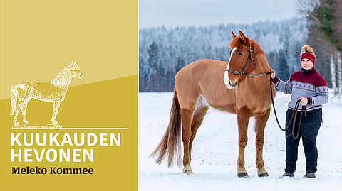 Meleko Kommee ja Nora Mäenpää.