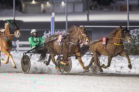 Pistojoen Lotta vastaili varmaan voittoon. Pyssyharjun Roomeo yritti yllättää sisäkautta.