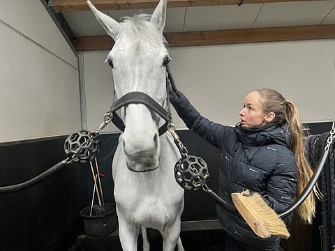 Anna-Julia Kontio on ajanut hevosauton Overpeltistä Bordeaux'hon. Sunnuntaina maailmancupin osakilpailu. 