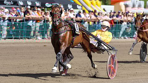 Colibri Jet, Alessandro Gocciadoro