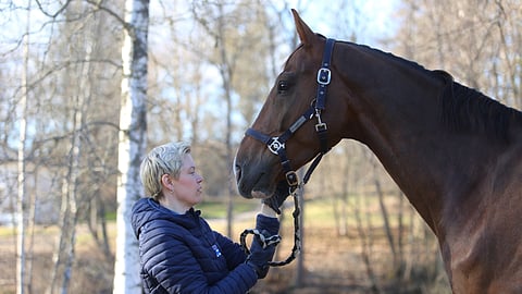 Pararatsukko Jonna Aaltonen ja Laxton For U vastamäessä.