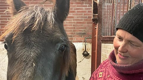 Turkulaisyrittäjä muistuttaa, että ylimääräisiä liittokokouksia on SRL:ltä vaadittu kaksin kappalein. 