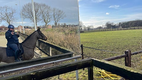 Treeniolosuhteet hellivät Kristiina Purdyä ja Florinaa.

