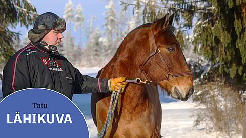 Tatu tuo menestystä Jaakko Santalan talliin.