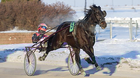 Highlight Bogeyman karkasi Turussa keulasta uransa avausvoittoon, ja teki sen vieläpä Toto75-lähdössä.