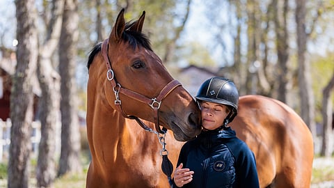 Supersuosikki Malin Baryard-Johnsson on 50 ja tulossa vuosien tauon jälkeen Helsinkiin hyppäämään. 