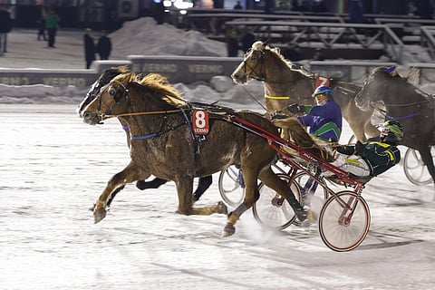Tuuskanen pisteli keulassa halukkaana pää pitkällä.