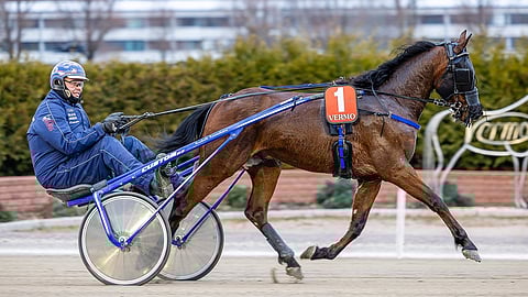 Ravit Solvalla